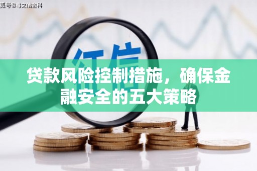 新河贷款风险控制措施，确保金融安全的五大策略