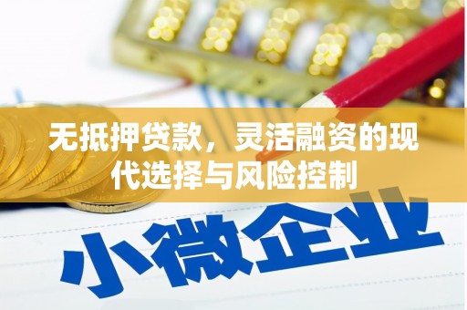 新河无抵押贷款，灵活融资的现代选择与风险控制