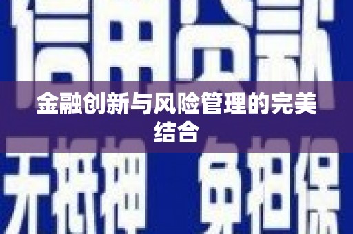 新河金融创新与风险管理的完美结合