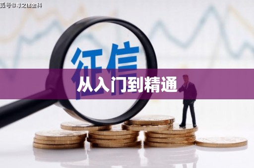 新河从入门到精通