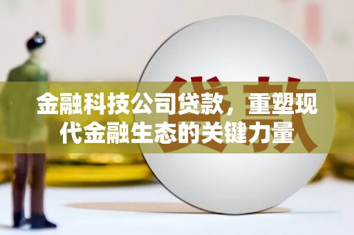 新河金融科技公司贷款，重塑现代金融生态的关键力量