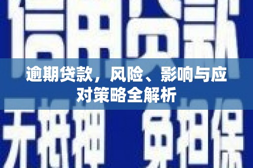 新河逾期贷款，风险、影响与应对策略全解析