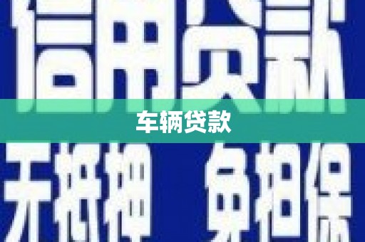 新河车辆贷款