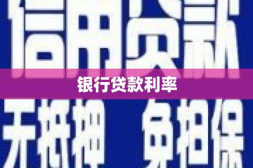 新河银行贷款利率