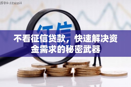 新河不看征信贷款，快速解决资金需求的秘密武器