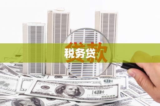 新河税务贷
