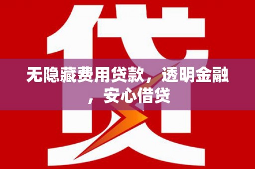 新河无隐藏费用贷款，透明金融，安心借贷