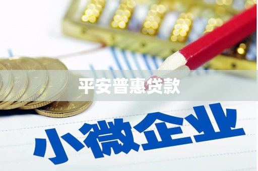 新河平安普惠贷款