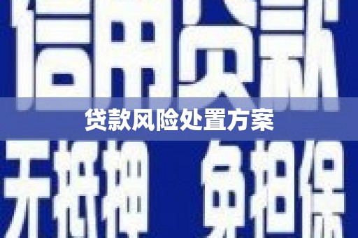 新河贷款风险处置方案