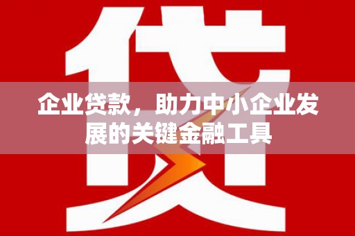 新河企业贷款，助力中小企业发展的关键金融工具