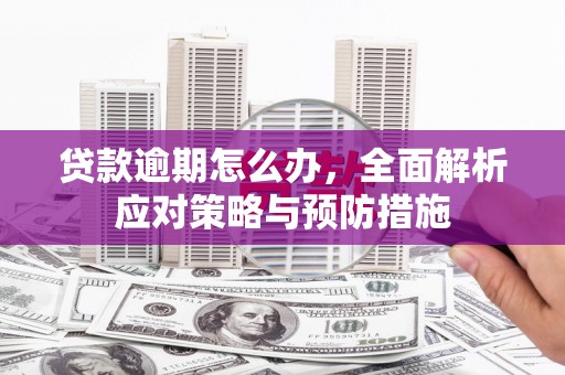 新河贷款逾期怎么办，全面解析应对策略与预防措施