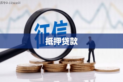新河抵押贷款