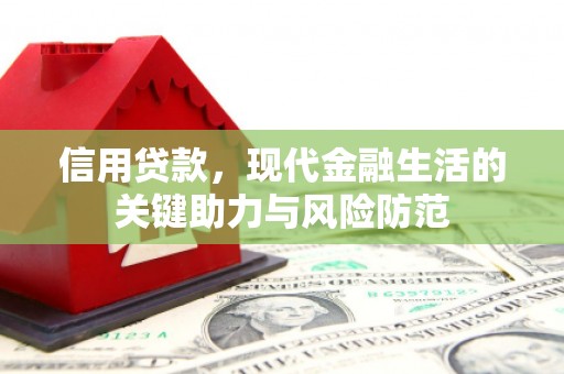 新河信用贷款，现代金融生活的关键助力与风险防范