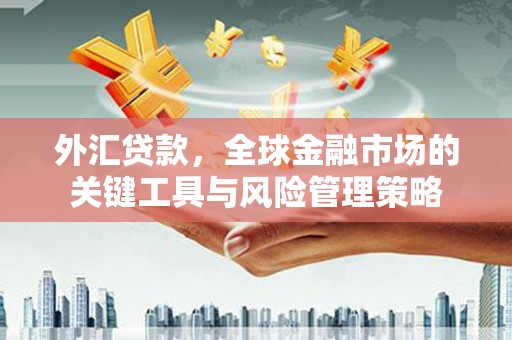 新河外汇贷款，全球金融市场的关键工具与风险管理策略