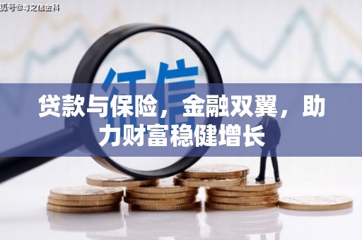 新河贷款与保险，金融双翼，助力财富稳健增长