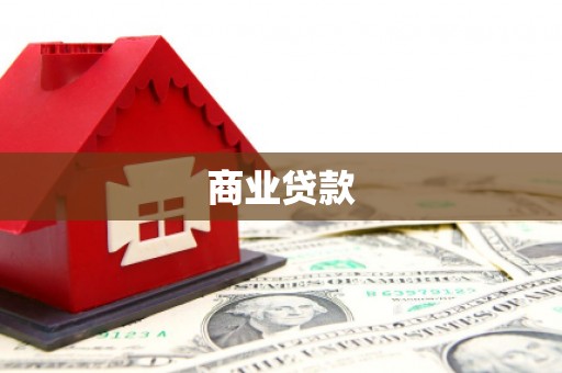 新河商业贷款