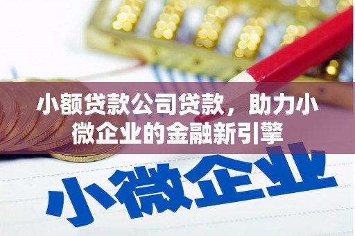 新河小额贷款公司贷款，助力小微企业的金融新引擎