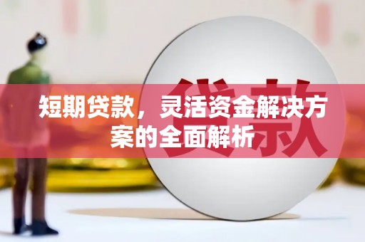 新河短期贷款，灵活资金解决方案的全面解析