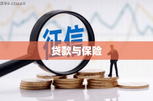 新河贷款与保险