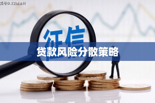 新河贷款风险分散策略