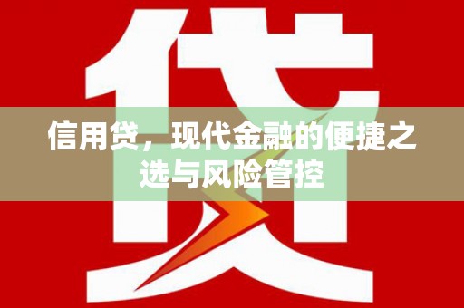 新河信用贷，现代金融的便捷之选与风险管控