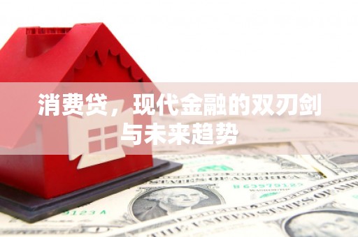 新河消费贷，现代金融的双刃剑与未来趋势