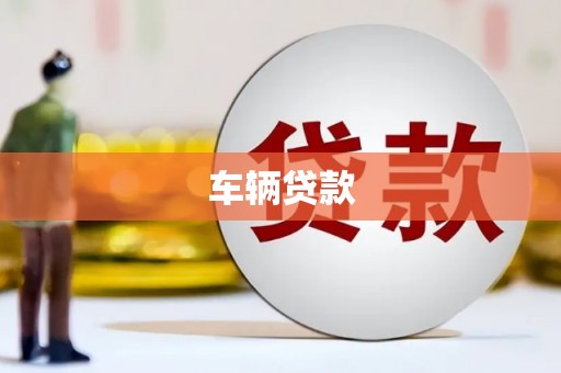新河车辆贷款