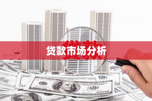 新河贷款市场分析