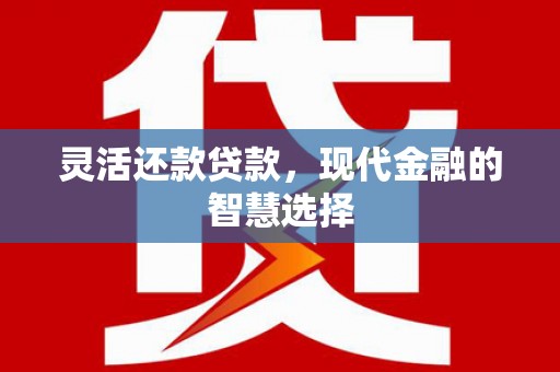 新河灵活还款贷款，现代金融的智慧选择
