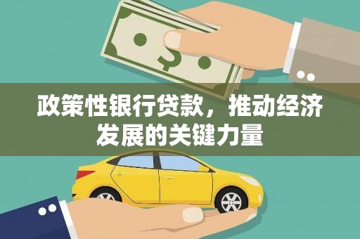 新河政策性银行贷款，推动经济发展的关键力量