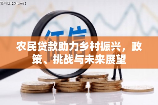 新河农民贷款助力乡村振兴，政策、挑战与未来展望