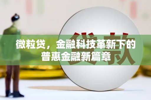 新河微粒贷，金融科技革新下的普惠金融新篇章