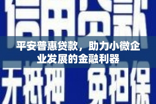 新河平安普惠贷款，助力小微企业发展的金融利器