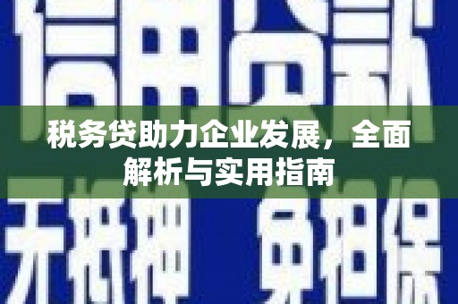 新河税务贷助力企业发展，全面解析与实用指南