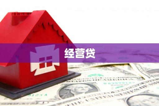 新河经营贷