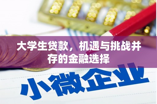 新河大学生贷款，机遇与挑战并存的金融选择