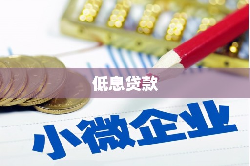 新河低息贷款