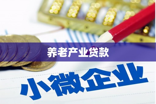 新河养老产业贷款