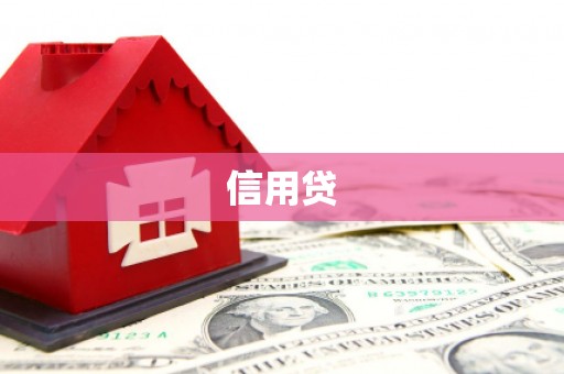 新河信用贷
