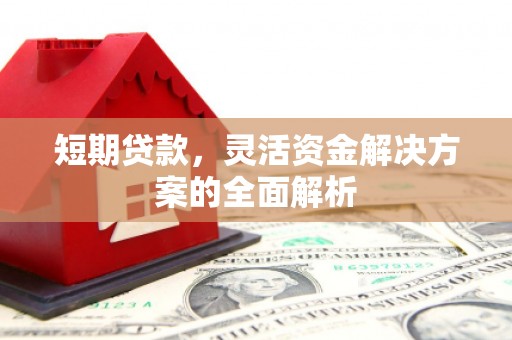 新河短期贷款，灵活资金解决方案的全面解析