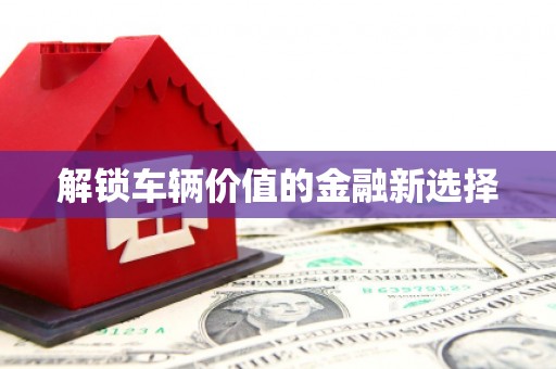 新河解锁车辆价值的金融新选择