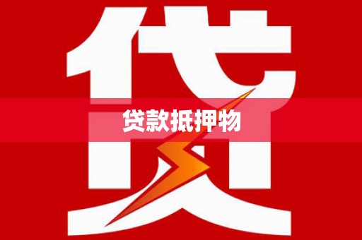 新河贷款抵押物