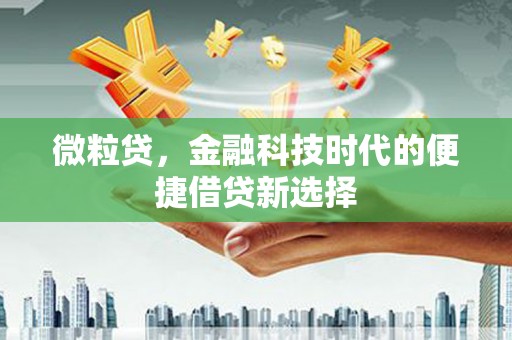 新河微粒贷，金融科技时代的便捷借贷新选择