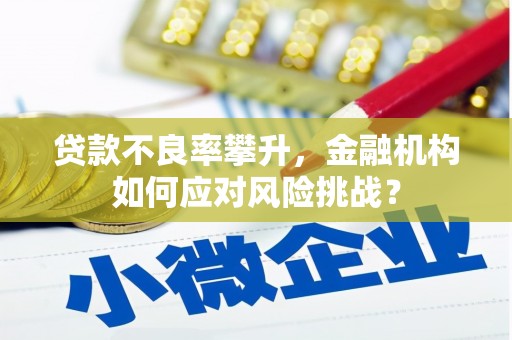 新河贷款不良率攀升，金融机构如何应对风险挑战？