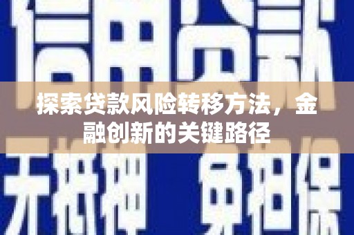 新河探索贷款风险转移方法，金融创新的关键路径