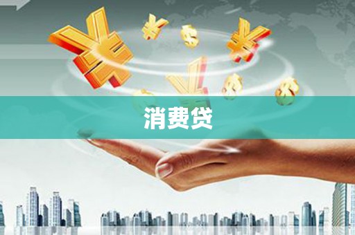 新河消费贷