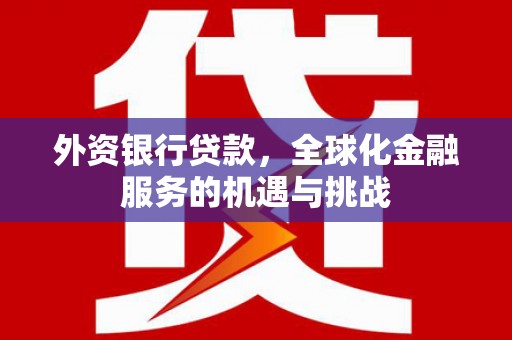 新河外资银行贷款，全球化金融服务的机遇与挑战