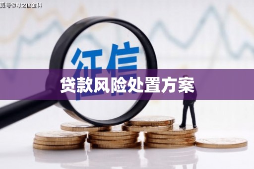新河贷款风险处置方案