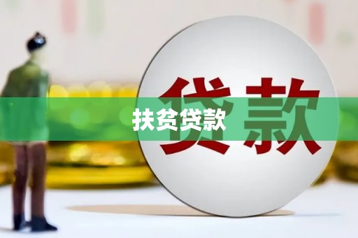 新河扶贫贷款
