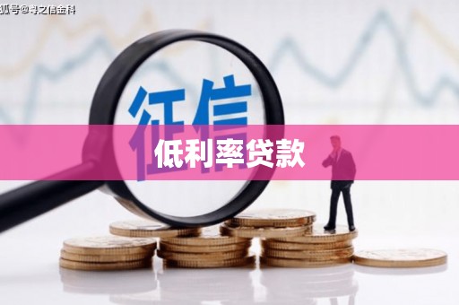 新河低利率贷款